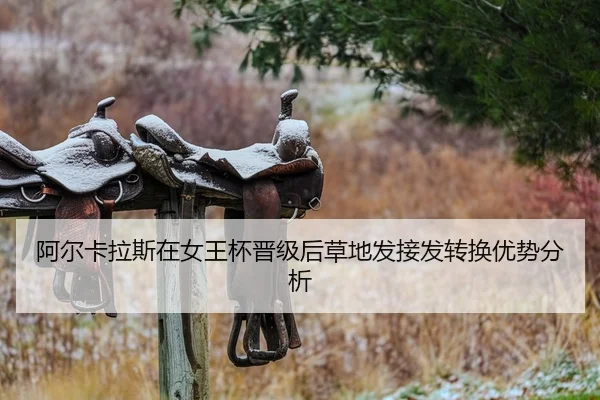 a-er-ka-la-si-zai-nv-wang-bei-jin-ji-hou-cao-di-fa-jie-fa-zhuan-huan-you-shi-fen-xi-2-420.jpg
