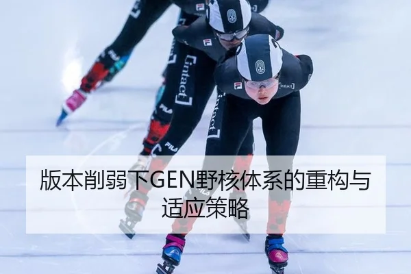 版本削弱下GEN野核体系的重构与适应策略